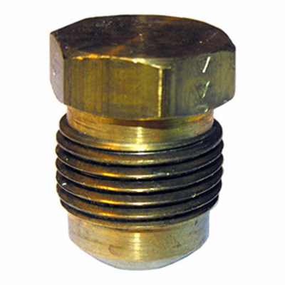 0.5 in. Brass Flare Plug
