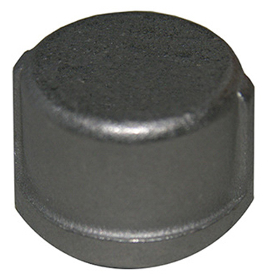 0.5 in. Stainless Steel Pipe Cap