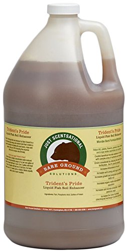 TP-128G 1 gal Just Scentsational Tridents Pride by Ready-to-Use Liquid