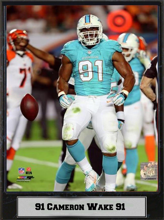511-FBMIA91 9 x 12 in. Cameron Wake Miami Dolphins Plaque