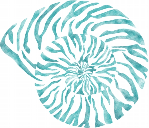 WallPops DWPK2176 Nautilus Shell Wall Art Kit