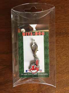 Picture of Cleveland Indians Logo Charm