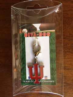 Picture of Indiana University Hoosiers Collar Charm