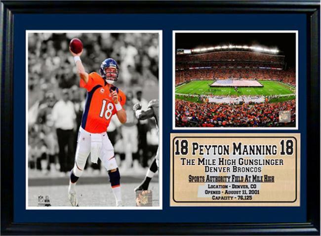 12 x 18 Photo Stat Frame - Peyton Manning Denver Broncos