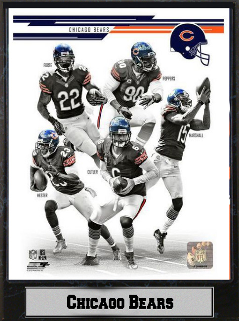 9 x 12 Plaque - 2013 Chicago Bears
