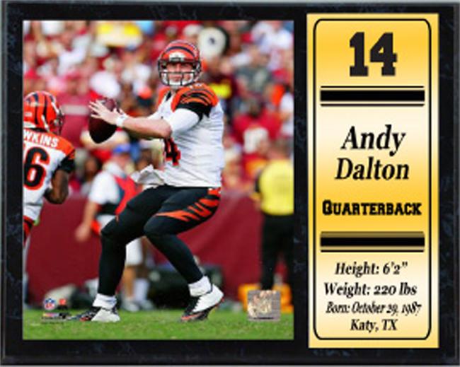 521-FBCIN14 12 x 15 Stat Plaque - Andy Dalton Cincinnati Bengals