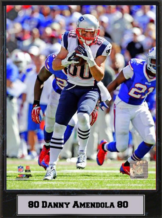 511-FBNE80 9 x 12 Plaque - Danny Amendola New England Patriots