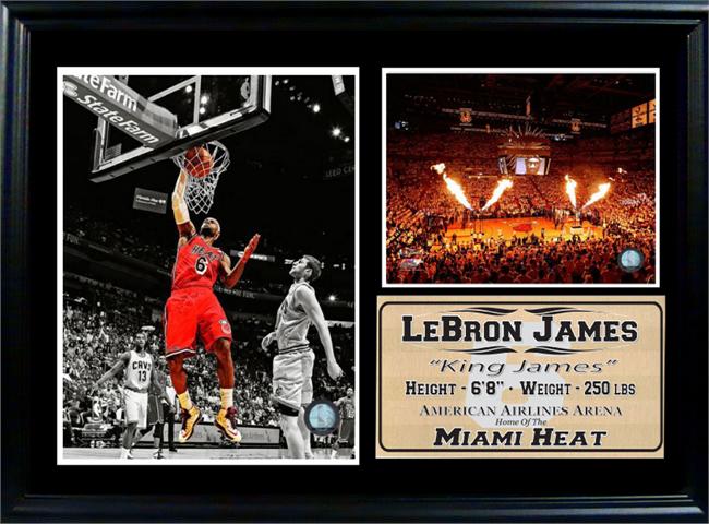 12 x 18 Photo Stat Frame - LeBron James Miami Heat