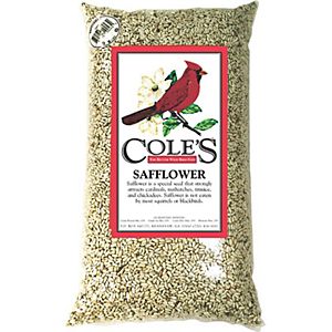 Picture of Coles Wild Bird Product 2967685 SA10 Safflower Wild Bird Seed