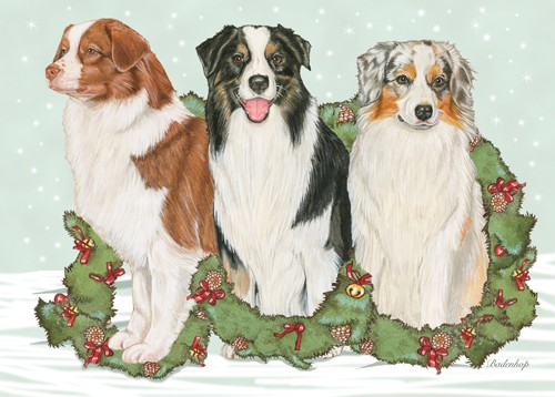 Australian Shepherd Christmas Boxed Cards - Pack of 10