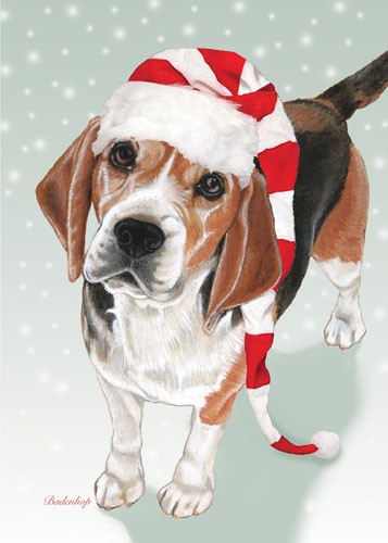 Beagle Christmas Boxed Cards - Pack of 10