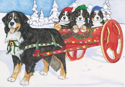 Bernese Holiday Ride Christmas Boxed Cards - Pack of 10