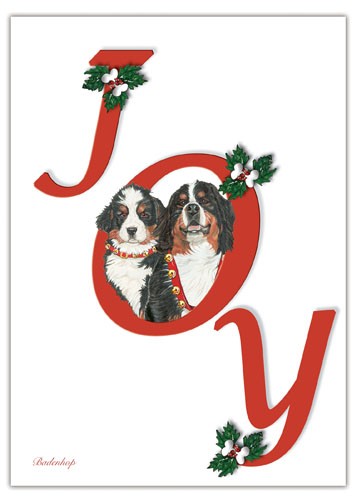C575 Bernese Joy Christmas Boxed Cards - Pack of 10