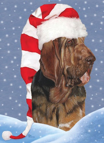 Bloodhound Christmas Boxed Cards - Pack of 10