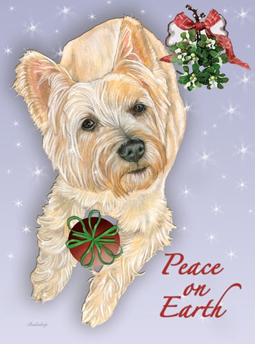 Cairn Terrier Mistletoe Christmas Boxed Cards - Pack of 10