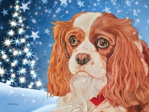 Cavalier King Charles Spaniel Christmas Boxed Cards - Pack of 10