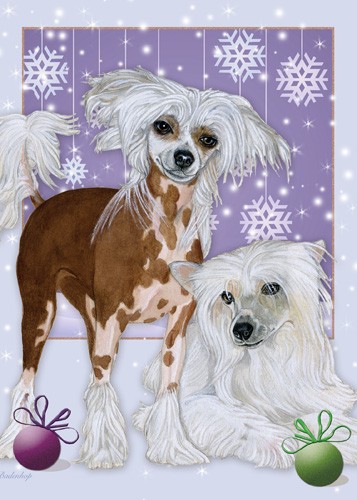 C598 Chinese Crested Christmas Boxed Cards - Pack of 10