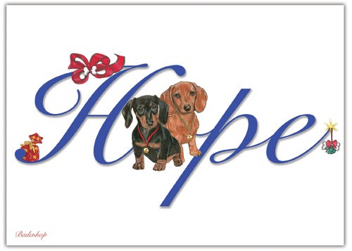 Dachshunds Hope Christmas Boxed Cards - Pack of 10