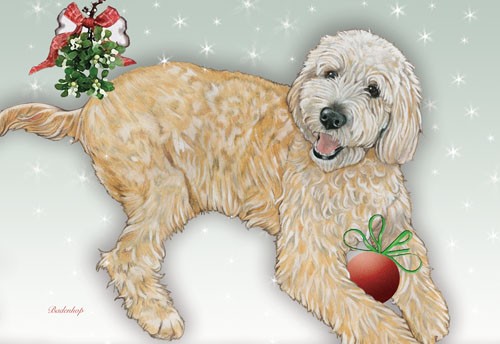 Doodle Christmas Boxed Cards - Pack of 10