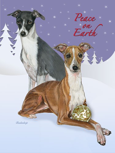 Italian Greyhound Christmas Boxed Cards - Pack of 10