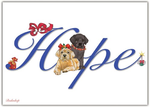 C574 Labrador Hope Christmas Boxed Cards - Pack of 10