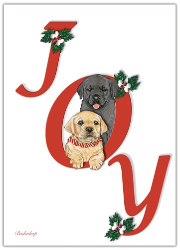 Labrador Joy Christmas Boxed Cards