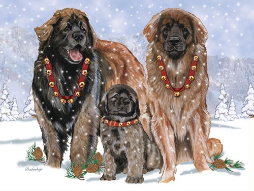 Leonberger Christmas Boxed Cards - Pack of 10