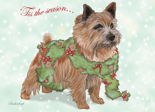 Norwich Terrier Christmas Boxed Cards - Pack of 10