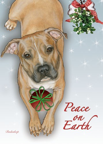C582 Pit Bull Mistletoe Christmas Boxed Cards - Pack of 10