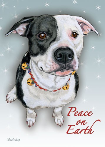 Pitbull Black & White Christmas Boxed Cards - Pack of 10 -  Pipsqueak Productions, PI392943