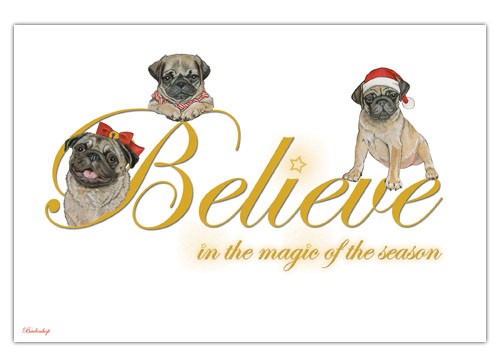 Pug Believe Christmas Boxed Cards - Pack of 10