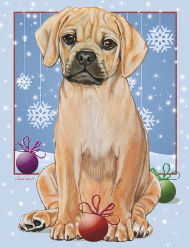 Puggle Christmas Boxed Cards - Pack of 10