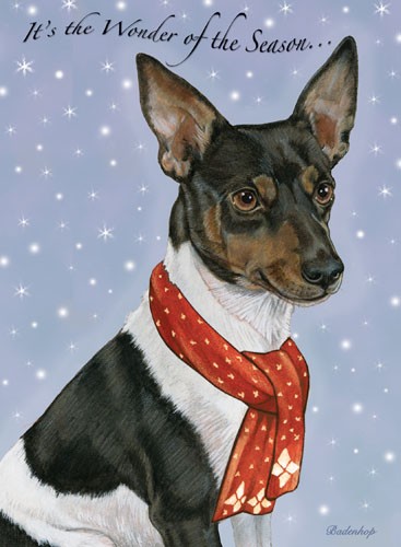 Rat Terrier Christmas Boxed Cards - Pack of 10