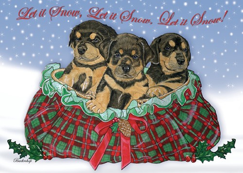 Rottweiler Pups Christmas Boxed Cards - Pack of 10