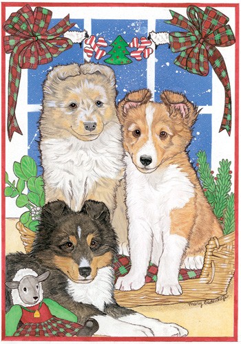 Sheltie Pups Christmas Boxed Cards - Pack of 10