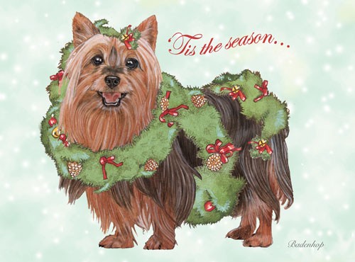 Silky Terrier Christmas Boxed Cards - Pack of 10