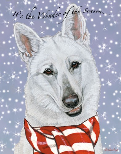 White Shepherd Christmas Boxed Cards - Pack of 10