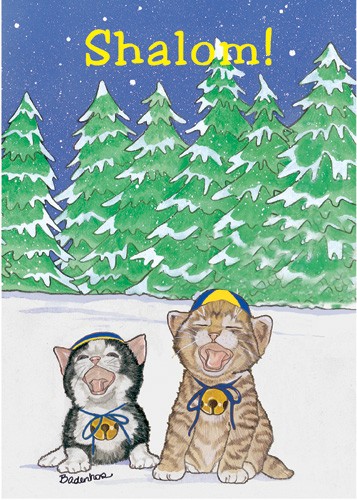 Hanukkah Shalom Hanukkah Boxed Cards - Pack of 10