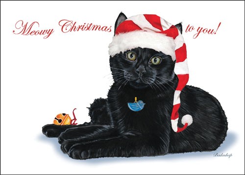 Black Cat Cat Christmas Boxed Cards - Pack of 10 -  Pipsqueak Productions, PI392973