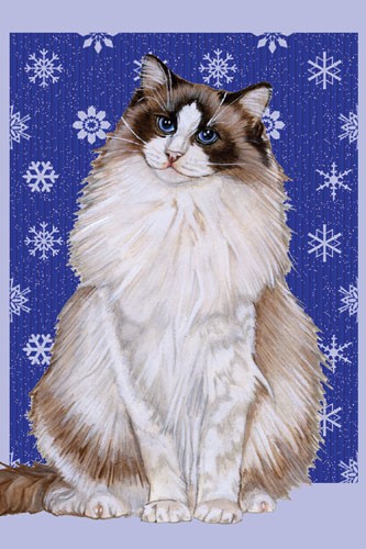 Ragdoll Cat Christmas Boxed Cards - Pack of 10