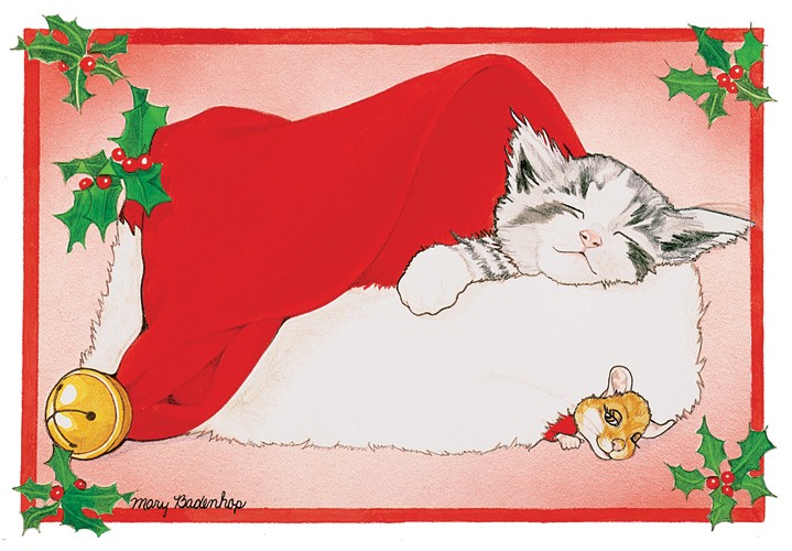 Santas Cap Cat Christmas Boxed Cards - Pack of 10