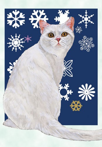 White British Shorthair Cat Christmas Boxed Cards - Pack of 10