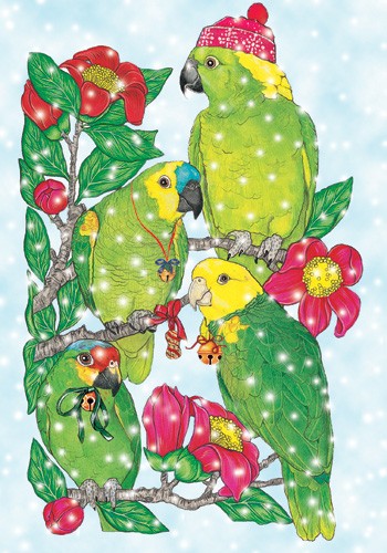 Amazon Holiday Bird Christmas Boxed Cards - Pack of 10