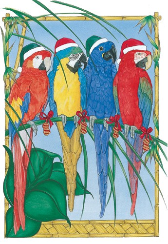 C871 Macaw Holiday Bird Christmas Boxed Cards - Pack of 10