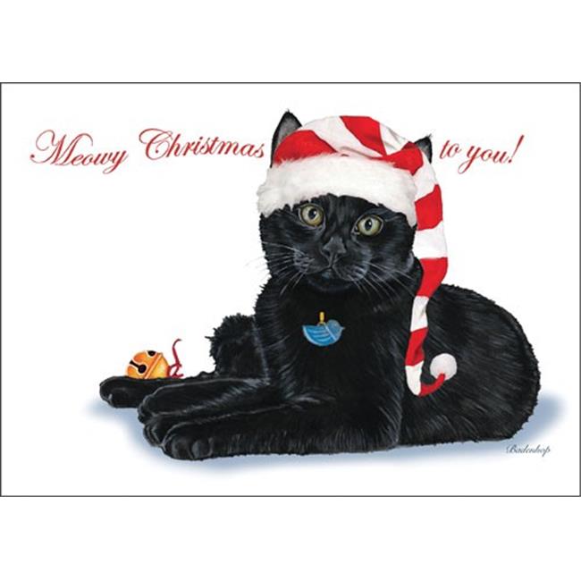Pipsqueak Productions C730 Black Cat Cat Christmas Boxed Cards - Pack of 10