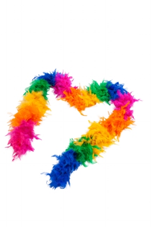 4764-Rainbow-O-S 72 in. Feathered Boa Costume, Rainbow - One Size