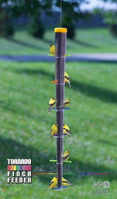 TRFF Tornado Rainbow Finch Bird Feeder