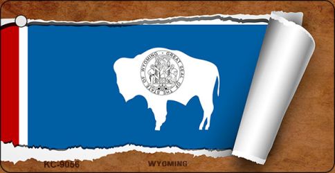 KC-9056 1.5 x 3 in. Wyoming Flag Scroll Novelty Key Chain