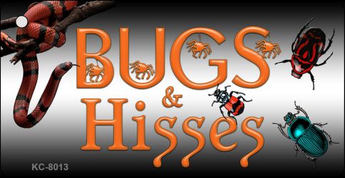 KC-8013 1.5 x 3 in. Bugs & Hisses Novelty Key Chain