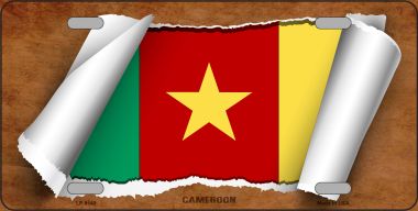 LP-9149 6 x 12 in. Cameroon Flag Scroll Novelty Metal License Plate